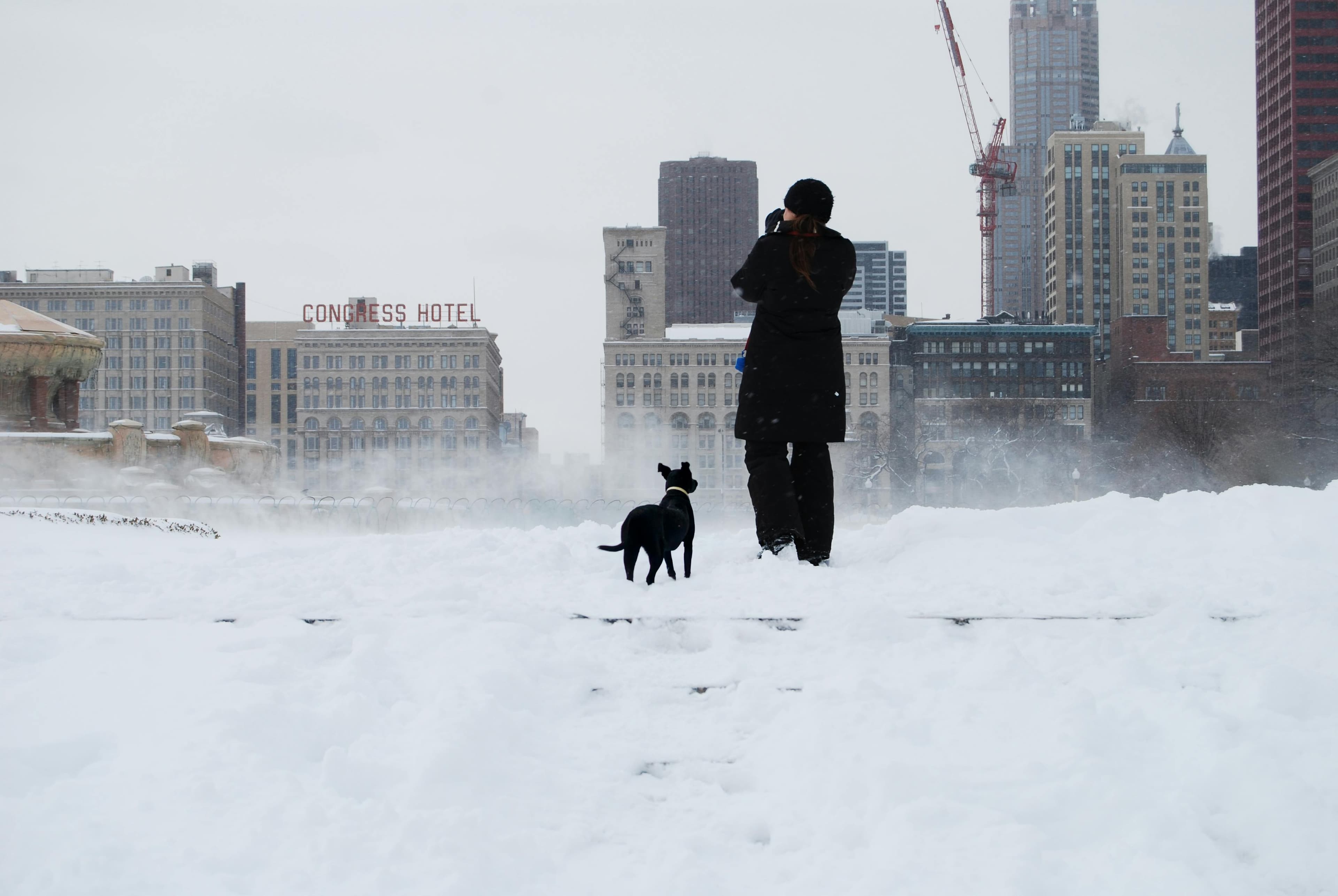 Chicago skyline